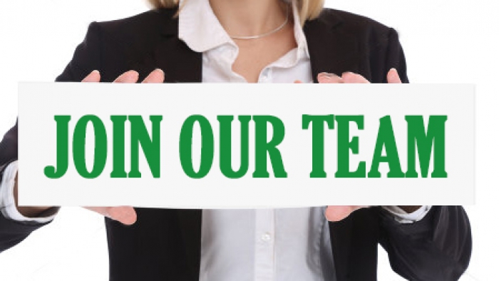 SALES  EXECUTIVE