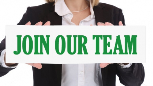 SALES  EXECUTIVE