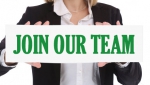SALES  EXECUTIVE